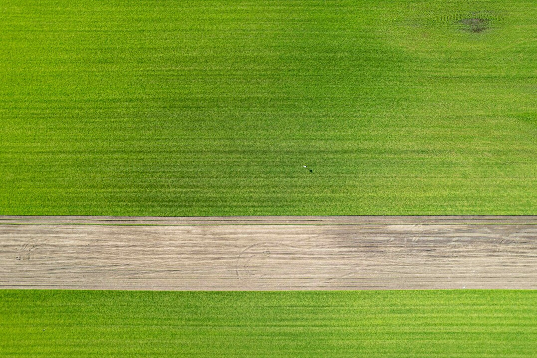 Aerial view of green agricultural fields
