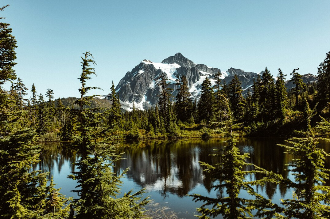Mountain lake surrounded by forest and peaks